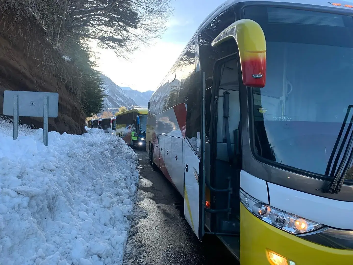 Bus Travel Star paisaje