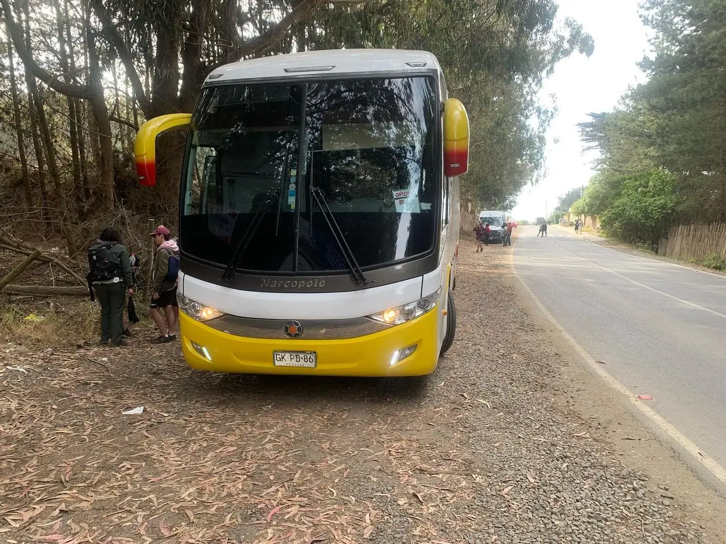 Bus para 42 pasajeros