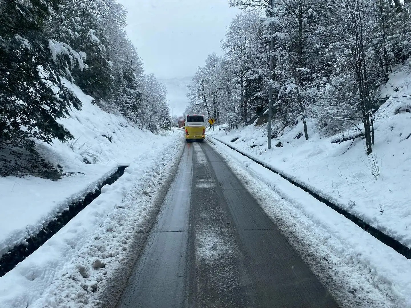 Bus solo en ruta nevada